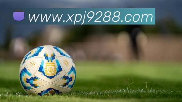 企业概况